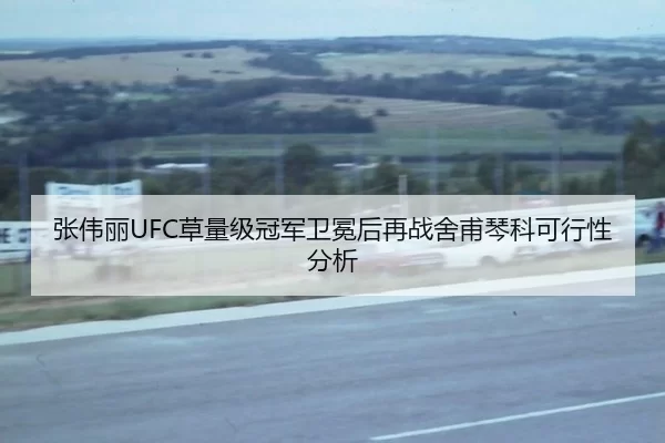 张伟丽UFC草量级冠军卫冕后再战舍甫琴科可行性分析